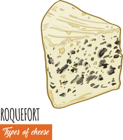 Hand drawn colorful Roquefort cheeseのイラスト素材