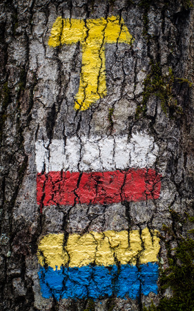 signed path on treeの写真素材