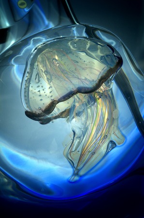 Jelly Fish Murano glass sculpture hand made in Veniceの写真素材