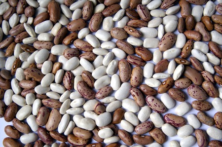 Colourful Beans Isolated On The White Background