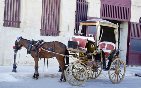 Traditional horse carriage in front of yellow brick building in Valletta,Maltaの写真素材