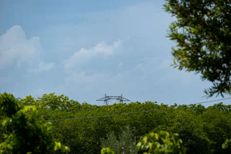 Trellis (electrical) hidden by dense vegetation. Blue sky as a background.の写真素材