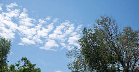 Blue sky, clouds and tree in the background.の写真素材