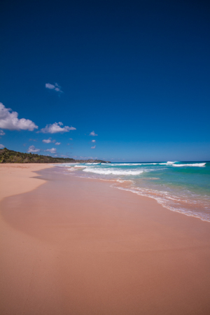 typical caribe beachの写真素材
