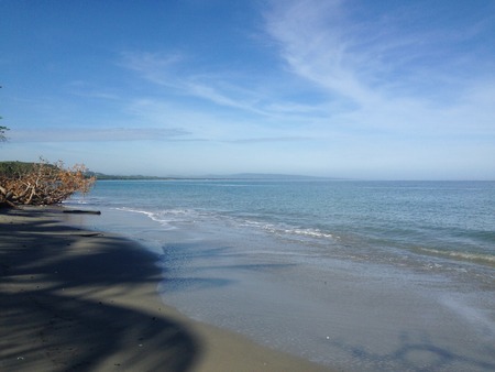 dominican beachの写真素材