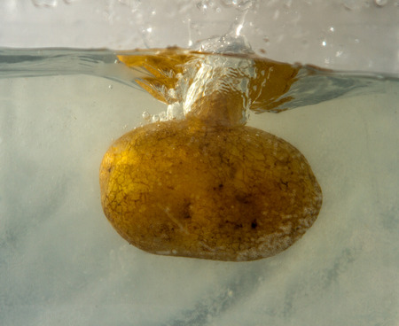 vegetables splashの写真素材