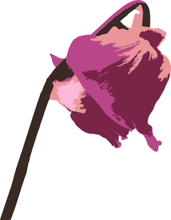 Faded pink roseのイラスト素材