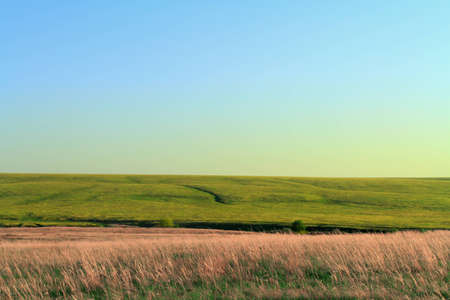 beautiful rural landscape with floor, ravine and treeの写真素材