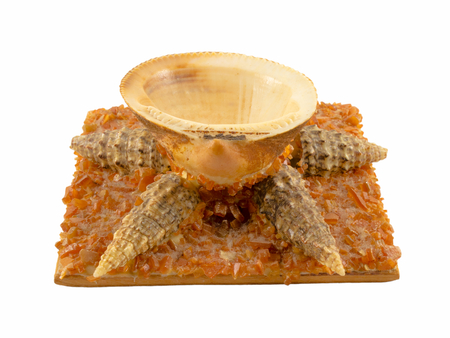 Folk art made from sea shells. Isolated on white background.の写真素材