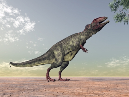 Giganotosaurusの写真素材