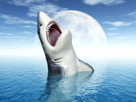 White Sharkの写真素材