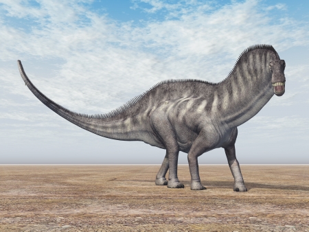 Dinosaur Amargasaurusの写真素材