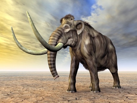 Mammothの写真素材