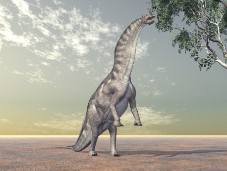Dinosaur Amargasaurusの写真素材