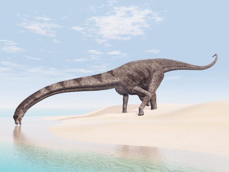 Dinosaur Puertasaurusの写真素材