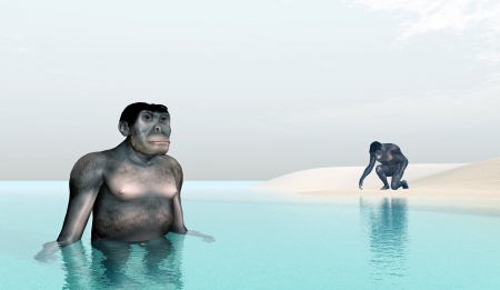 Homo Habilis - Human Evolutionの写真素材