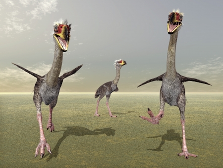 Terror Bird Phorusrhacosの写真素材