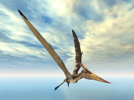 Flying Dinosaur Pteranodonの写真素材