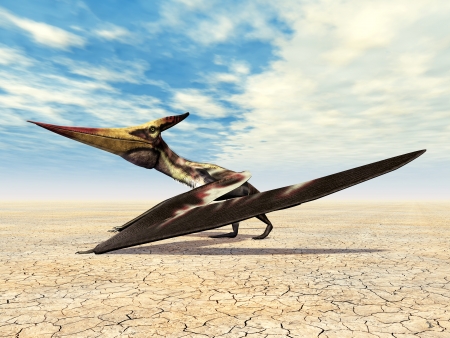 Flying Dinosaur Pteranodonの写真素材