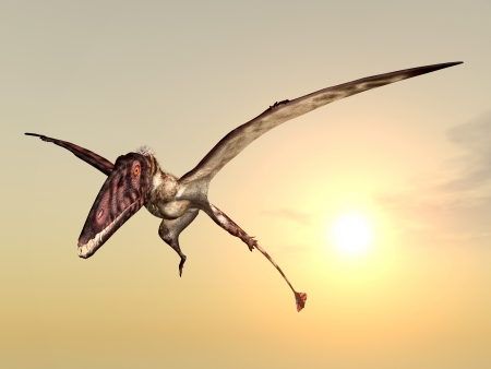 Dimorphodonの写真素材