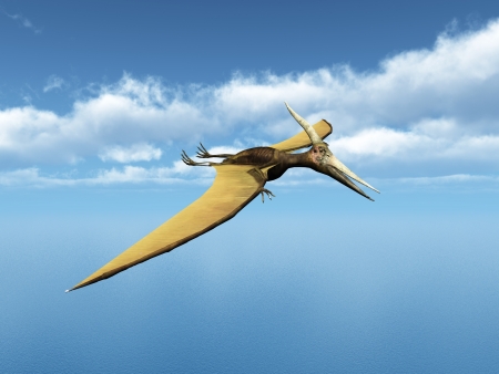 Ocean Sailing Pteranodon Ingensの写真素材