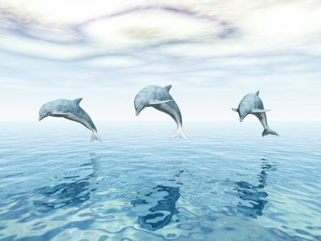 Jumping Dolphinsの写真素材