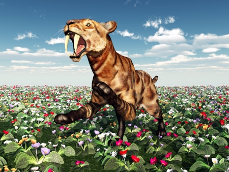 Saber-Toothed Cat Smilodonの写真素材