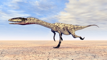 Dinosaur Coelophysisの写真素材