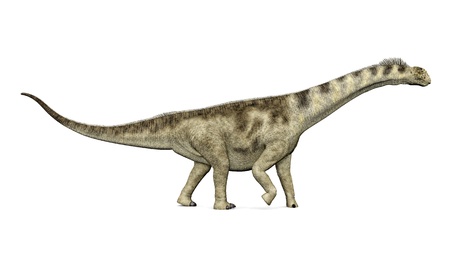 Dinosaur Camarasaurusの写真素材