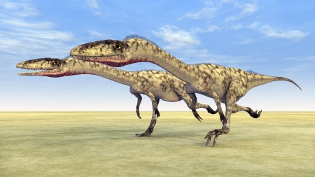 Dinosaur Coelophysisの写真素材