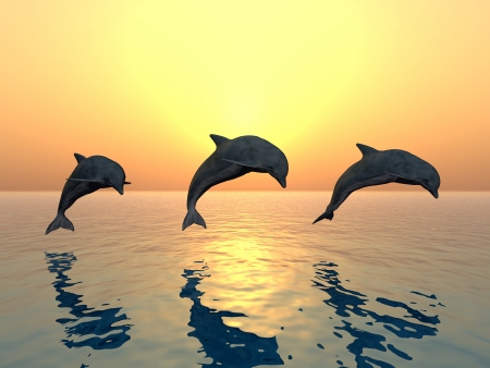 Jumping Dolphinsの写真素材