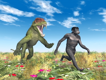 Homo Habilis - Human Evolution