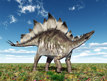Dinosaur Stegosaurusの写真素材