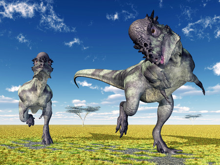Dinosaur Pachycephalosaurusの写真素材
