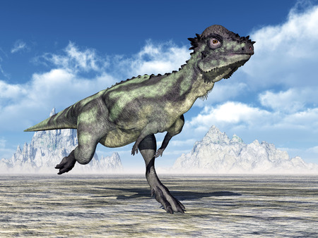 Dinosaur Pachycephalosaurusの写真素材