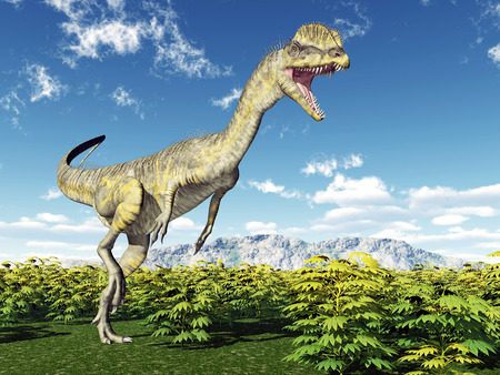 Dinosaur Dilophosaurusの写真素材