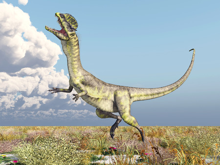 Dinosaur Dilophosaurusの写真素材