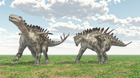 Dinosaur Huayangosaurusの写真素材