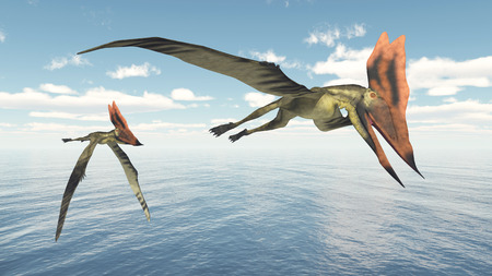 Pterosaur Thalassodromeusの写真素材