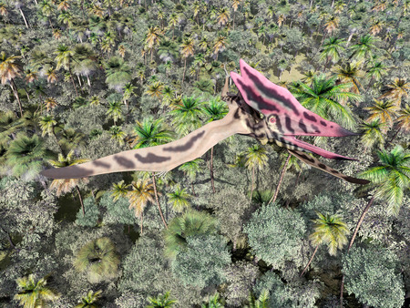Pterosaur Thalassodromeus over the jungleの写真素材