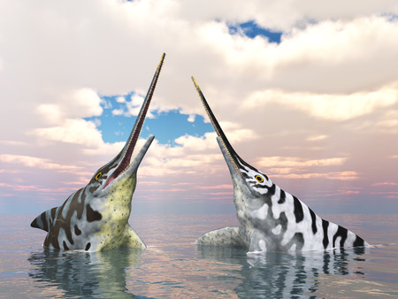 Ichthyosaur Eurhinosaurusの写真素材