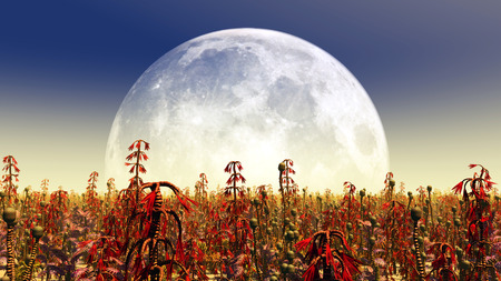 Planetary alignmentの写真素材