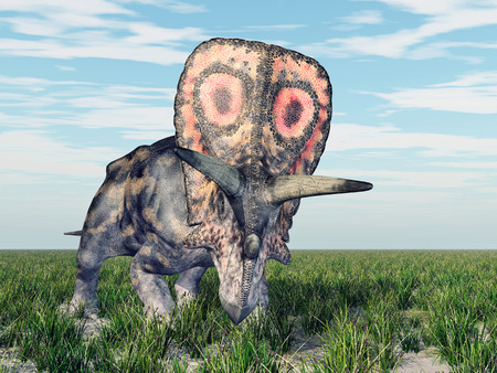 Dinosaur Torosaurusの写真素材