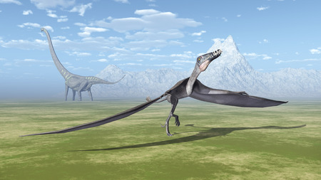 Pterosaur Dorygnathus and dinosaur Mamenchisaurusの写真素材