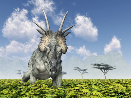 Dinosaur Styracosaurusの写真素材