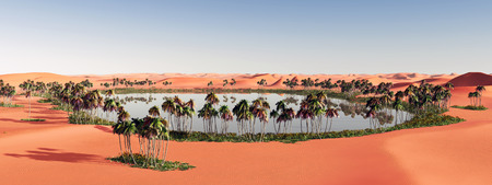 Oasis in the desert