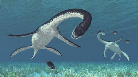 Plesiosaurus huntingの写真素材