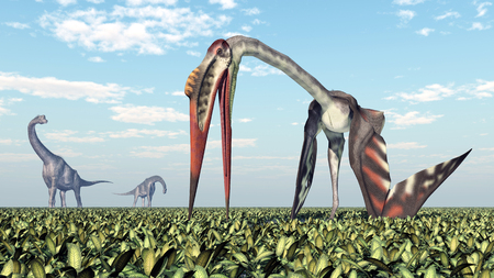 Dinosaur Brachiosaurus and pterosaur Quetzalcoatlusの写真素材