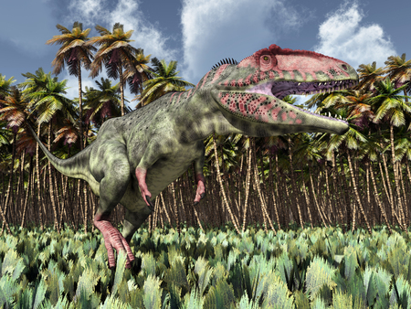 Dinosaur Giganotosaurus in the jungleの写真素材