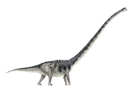 Dinosaur Omeisaurus isolated on white backgroundの写真素材